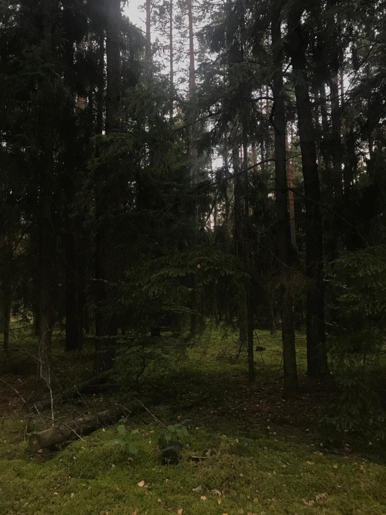 Gapkowo Villa Stare Kiejkuty Buitenkant foto