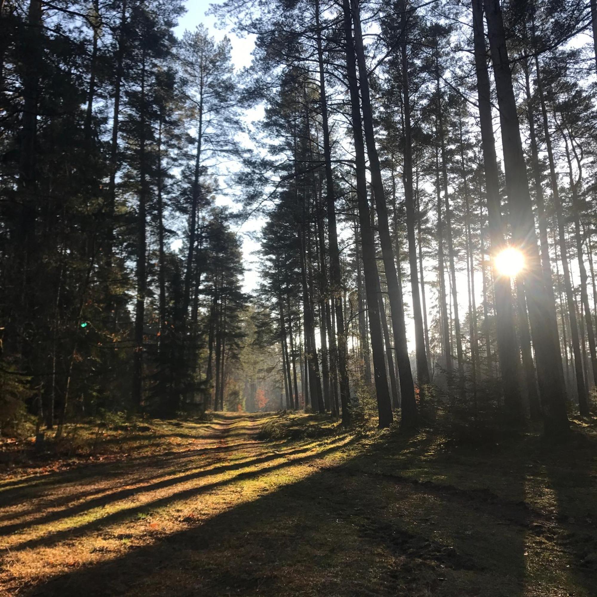 Gapkowo Villa Stare Kiejkuty Buitenkant foto